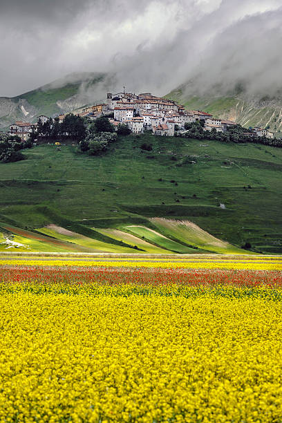 castelluccio di norcia (włochy), wsi w zielone wzgórze - natural landmark outdoors vertical saturated color zdjęcia i obrazy z banku zdjęć