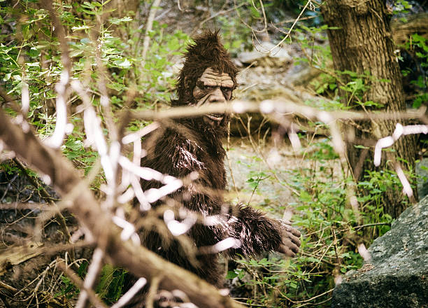 bigfoot in wild - monkey mask animal ape stock-fotos und bilder