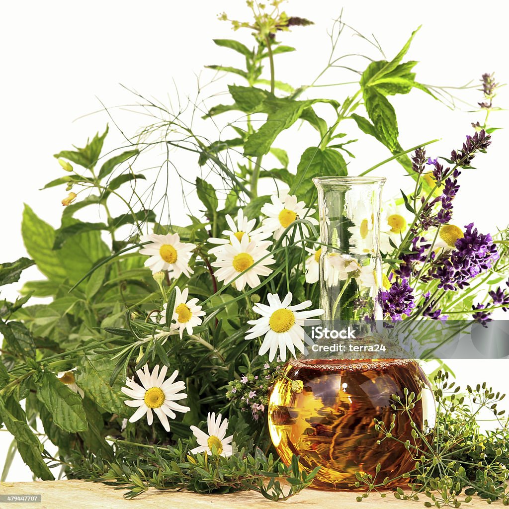 Cooking and homeopathy with herbs Different medical plants and herbs with a round bottom flask. Alternative Therapy Stock Photo