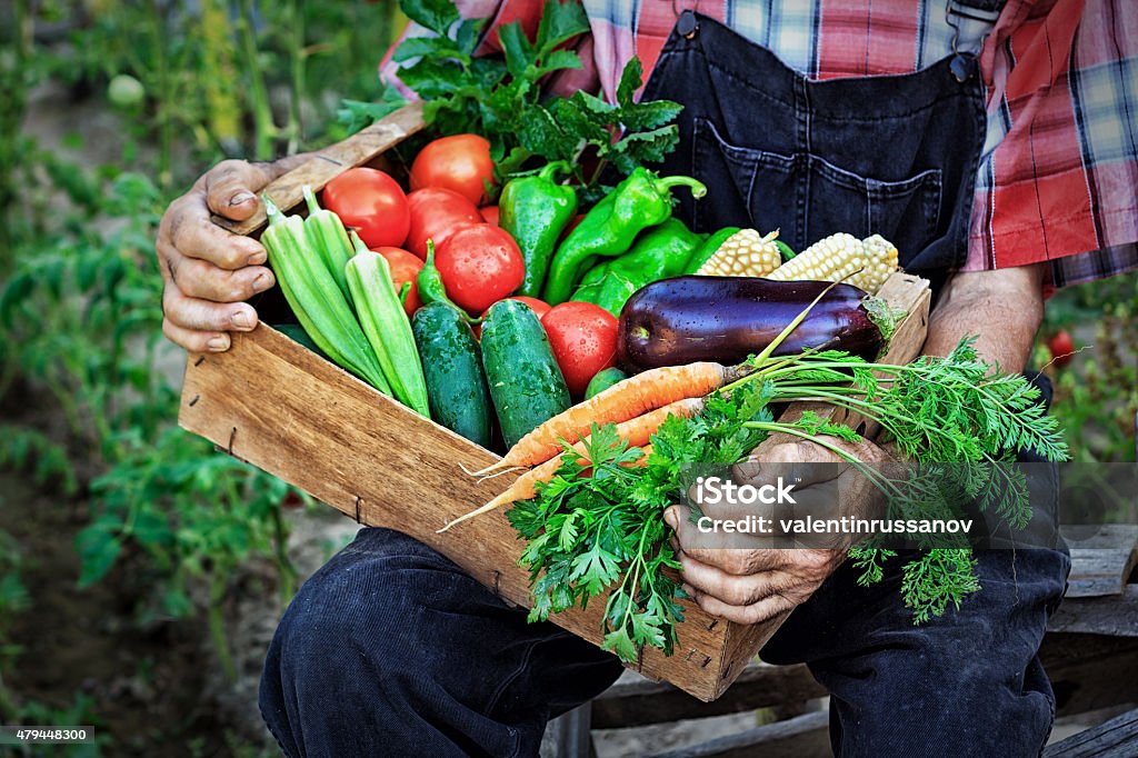 Crate with vegetables 2015 Stock Photo