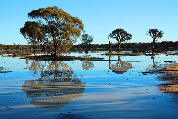 istock Ephemeral lake in Australian bush 479450512