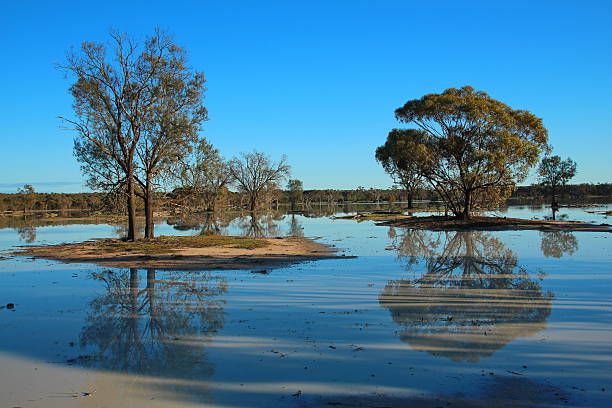 istock Ephemeral lake in Australian bush 479450570