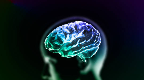 colorful blue brain in head - energy brain bildbanksfoton och bilder