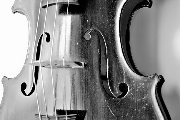 istock Old violin in black and white 479454220