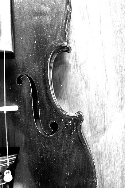 istock Antique violin background, monochrome vertical 479454454