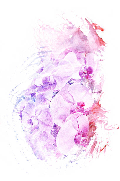 istock Flower watercolor illustration. 479454516