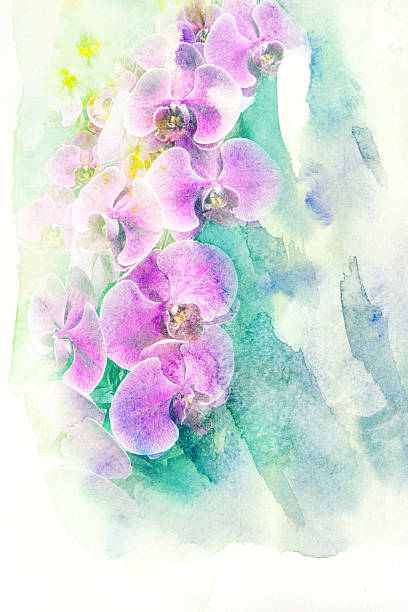 istock Flower watercolor illustration. 479454588