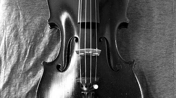 istock Black and white violin panorama 479454658