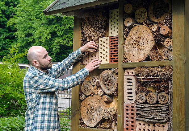istock insect hotel in garden 479455216