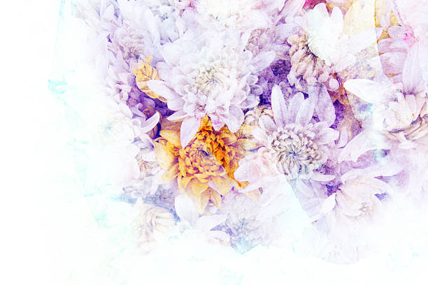 istock Flower watercolor illustration. 479455330