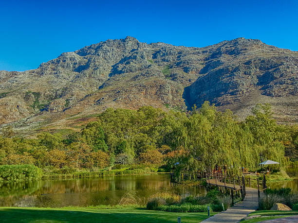 istock Stellenbosch, South Africa 479458792