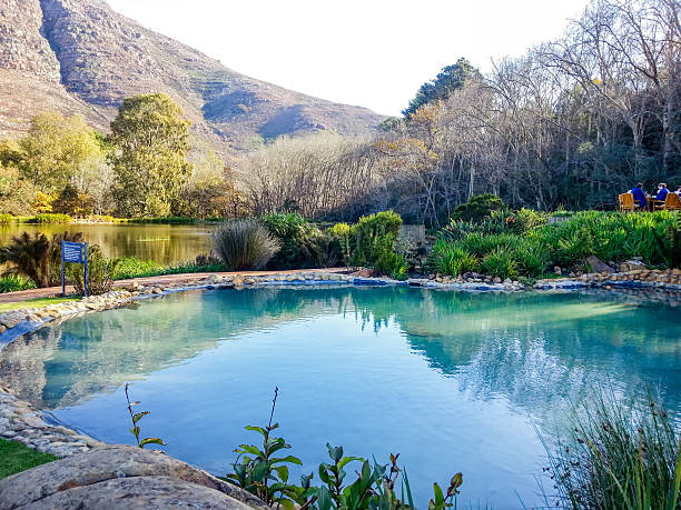 istock Stellenbosch, South Africa 479458804