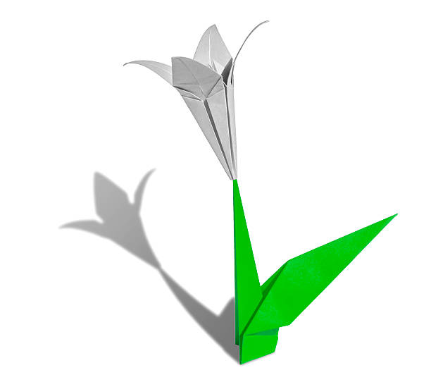 istock White Origami flower lily isolated 479459293