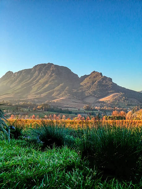 Stellenbosch, South Africa View of the farm Hidden Valley, STELLENBOSCH SOUTH AFRICA fynbos photos stock pictures, royalty-free photos & images
