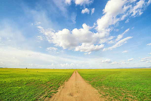 istock Blue sky and green grass field 479460068