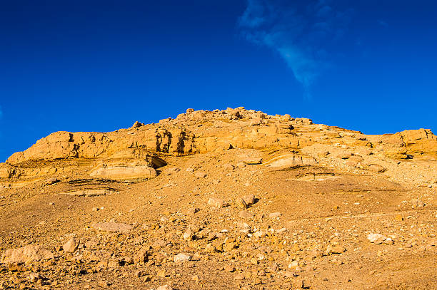 istock Bahariya Oasis in Egypt 479462672