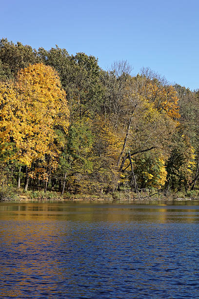 istock Autumn colors on a forest near a lake. 479469314