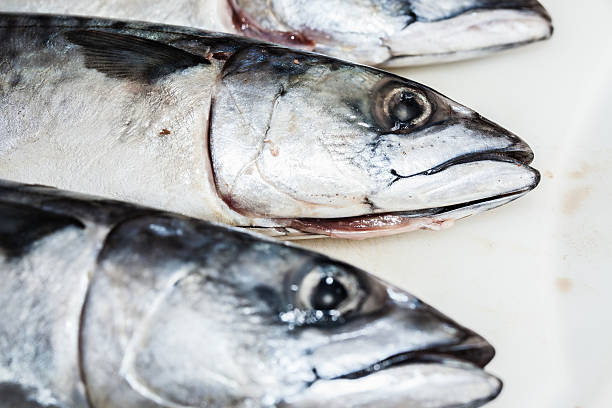 istock Mackerel at chopping board, close up 479469508
