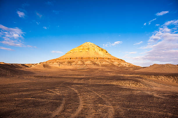 istock Bahariya Oasis in Egypt 479473148