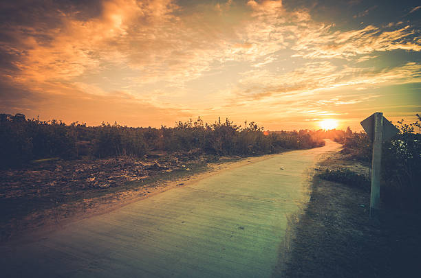 istock Road and sky in sunset 479473763