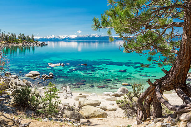 istock Lake Tahoe beach 479474214
