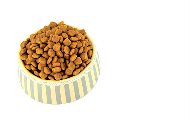 istock Dog food 479476834