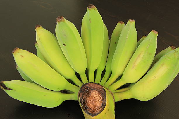 istock Unripe Green Banana 479478462