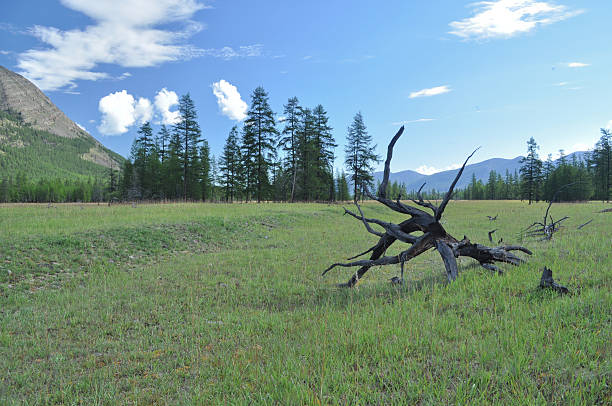 istock Landscape of  valley in the mountains 479479209