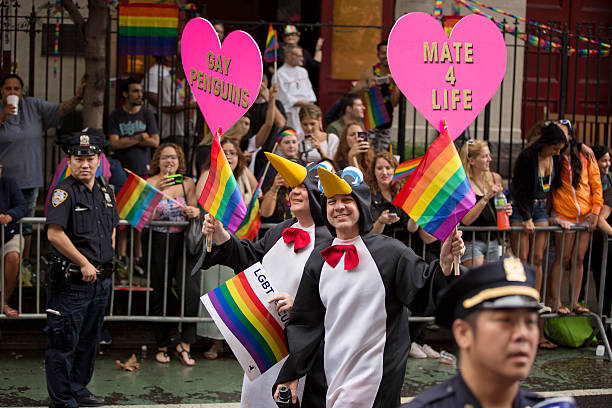 la ville de new york à la gay pride parade 2015 - homosexual gay man pride greenwich village photos et images de collection