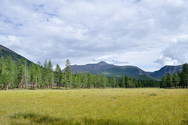istock Grassy valley along the mountain ridge. 479483911