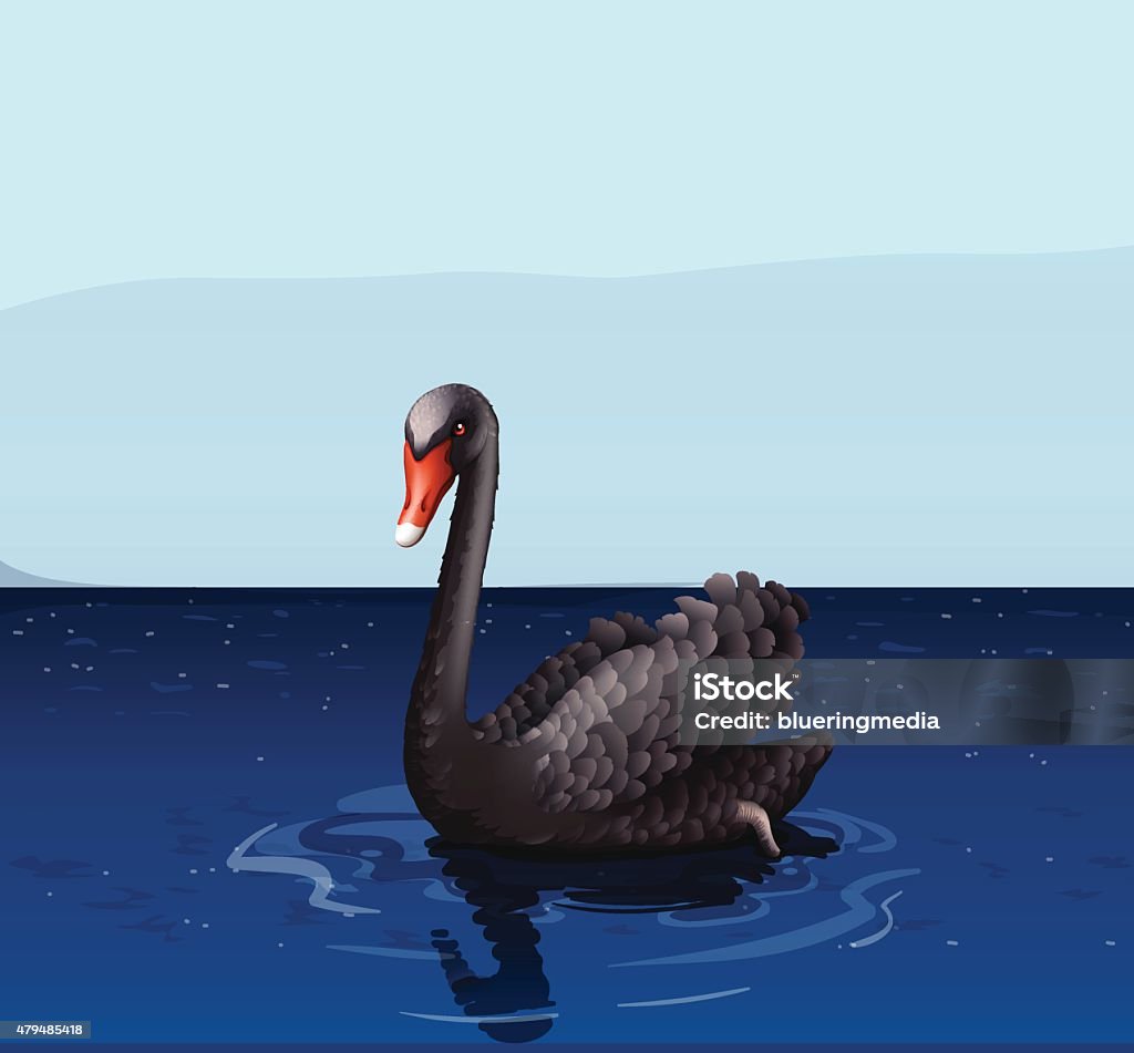 Black swan Black swan floating in the river 2015 stock vector