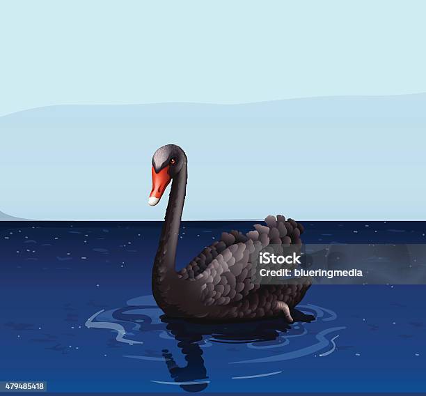 Black Swan Stock Illustration - Download Image Now - 2015, Animal, Animal Wildlife