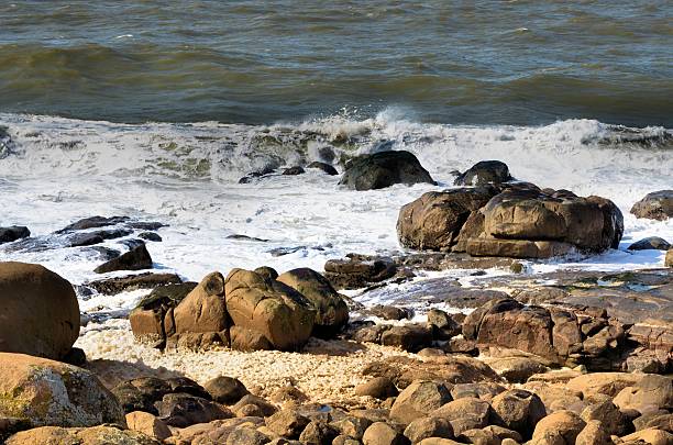 istock Waves and foam on the rocky coast 479486661