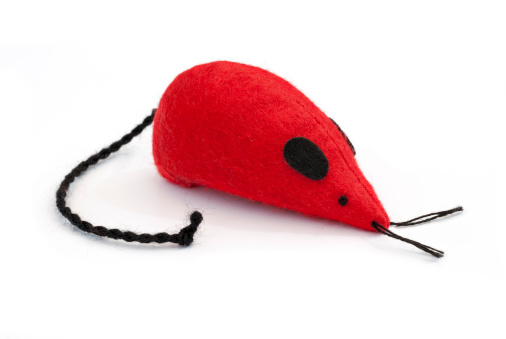 Bright red stuffed and soft toy mouse isolated on white for cats to play with. Mouse seen siteways.