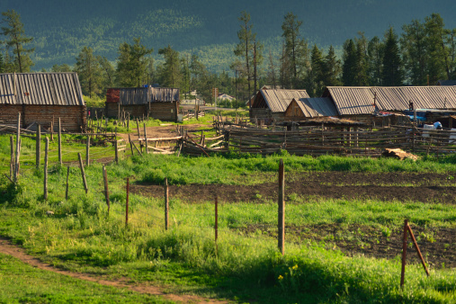 hamlet, village, Xinjiang, China, Chinese, house, ancient, old, residential, area, grass, land, field, ground, rural, wood, wooded, 