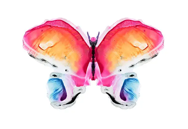 Photo of watercolour butterfly- stock image