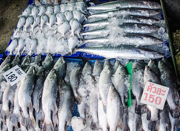 Fresh fish on ice on the market