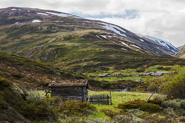 istock Old traditional summer farm in the Norwegian mountains. 479492704