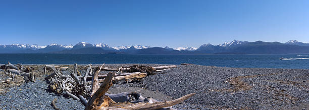 barche da pesca ritorno, omero, alaska giugno 2015 - homer foto e immagini stock