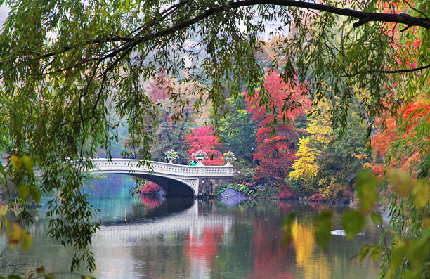 istock Bow Bridge, Central Park, New York City 479496267