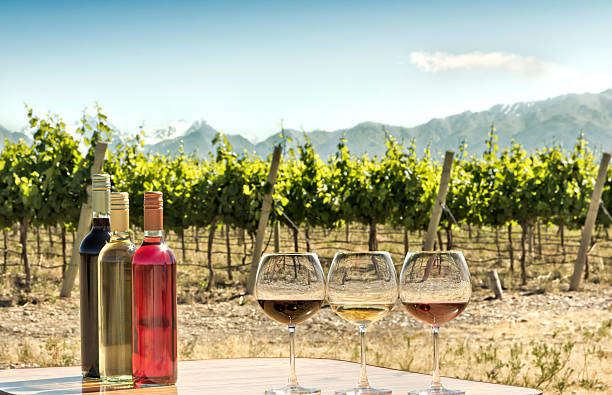 istock Glasses and bottles of wine 479497558