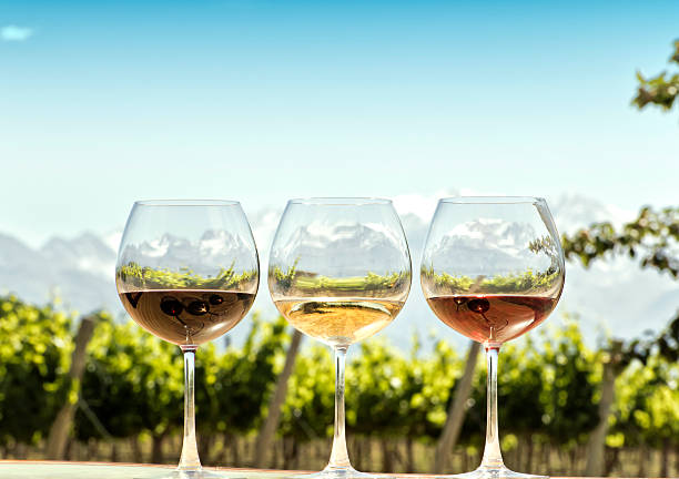 istock Glasses of wine 479497560