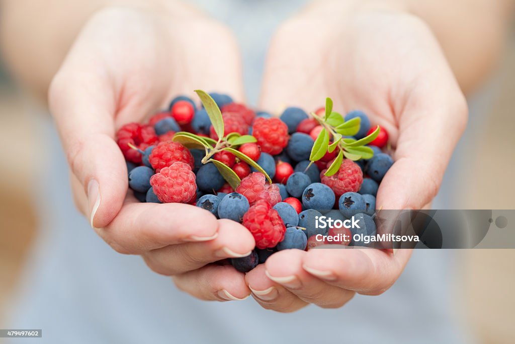 hands holding fresh berries 2015 Stock Photo