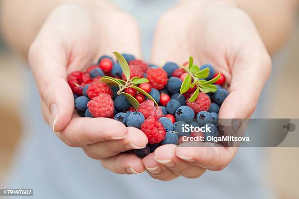 Hands Holding Fresh Berries Stock Photo - Download Image Now - 2015, Adult, Berry Fruit