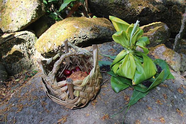 Hawaiian offering Traditional hawaiian offering wrapped in ti leaves and a palm leaf hand woven basket with coconut and berries ti plant stock pictures, royalty-free photos & images