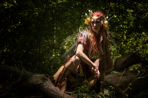 Woodland Fairy sitting on a log