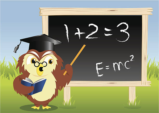 nauczanie owl - education classroom advice mathematics stock illustrations