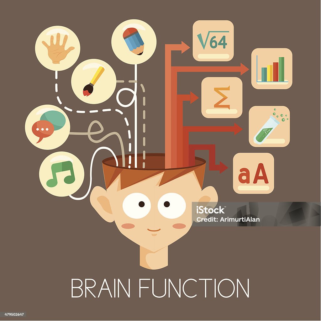 Passions, Intellegence, and Brain function Boys and brain function illustration. With Left and Right brain function as passions. Adult stock vector