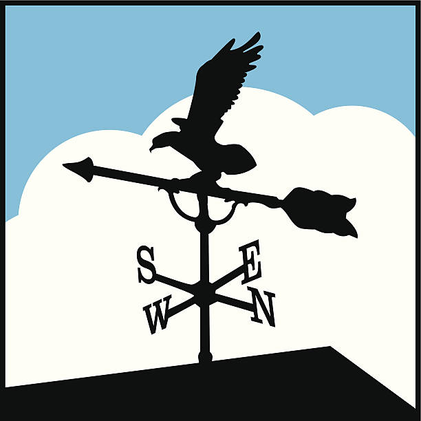 eagle wiatrowskaz - weather vane stock illustrations