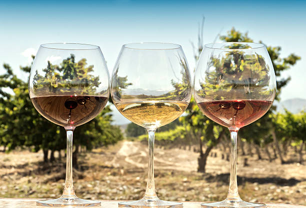 istock Glasses of wine 479505866